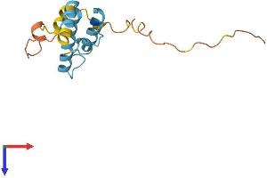 DnaJ (Hsp40) Homolog, Subfamily B, Member 3 (DNAJB3) (AA 1-145) protein (His tag)