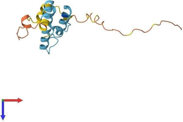 DnaJ (Hsp40) Homolog, Subfamily B, Member 3 (DNAJB3) (AA 1-145) protein (His tag)