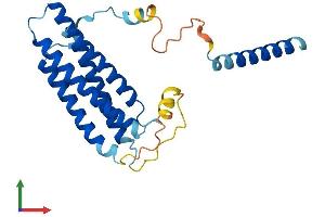 Protein Structure (PS) image for Regulator of G Protein Signaling 9 Binding Protein (RGS9BP) (AA 1-237) protein (His tag) (ABIN7556967)