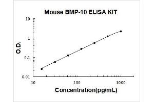 Bone Morphogenetic Protein 10 (BMP10) ELISA Kit