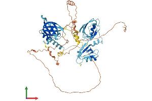 Protein Structure (PS) image for Amyloid beta (A4) Precursor Protein-Binding, Family A, Member 3 (APBA3) (AA 1-575) protein (His tag) (ABIN7552310)