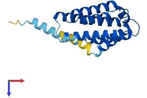 AlphaFold protein structure predicition of Human Recombinant TNFAIP8L1 Protein, UniprotID Q8WVP5