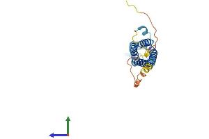 Protein Structure (PS) image for Synaptogyrin 3 (SYNGR3) (AA 1-229) protein (His tag) (ABIN7559658)