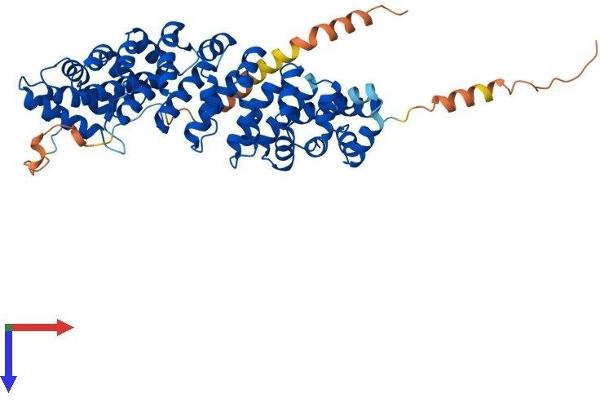 KPNA7 Protein (AA 1-516) (His tag)