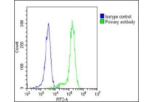 Overlay histogram showing K562 cells stained with C(green line). (IFNAR1 Antikörper  (AA 162-188))