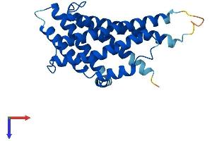 PEX11G Protein (AA 1-241) (His tag)