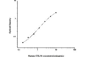 COL14A1 ELISA Kit