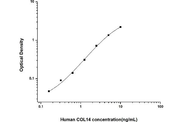 COL14A1 ELISA Kit