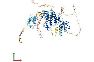 Protein Structure (PS) image for V-Raf Murine Sarcoma 3611 Viral Oncogene Homolog (ARAF) (AA 1-604) protein (His tag) (ABIN7562743)