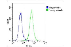 Overlay histogram showing A549 cells stained with (ABIN6242219 and ABIN6578795)(green line). (Thrombomodulin Antikörper  (AA 537-571))