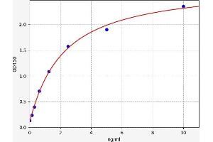 SLC16A7 ELISA Kit