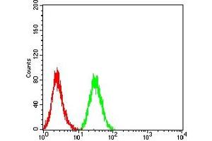 Flow cytometric analysis of HL-60 cells using CD72 mouse mAb (green) and negative control (red). (CD72 Antikörper  (AA 117-359))
