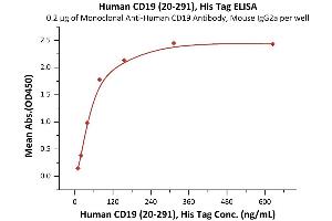 Immobilized FMC63 MAb at 2 μg/mL (100 μL/well) can bind Human CD19 (20-291), His Tag (ABIN5674620,ABIN6253679) with a linear range of 0.