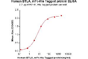 ELISA plate pre-coated by 2 μg/mL (100 μL/well) Human HVEM, His tagged protein (ABIN6964089) can bind Human BTLA,mFc-His tagged protein(ABIN6961116) in a linear range of 0. (BTLA Protein (mFc-His Tag))
