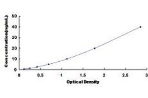 Typical Standard Curve (CYP2C18 ELISA Kit)