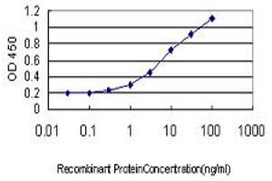 Detection limit for recombinant GST tagged RBM9 is approximately 0. (RBM9 Antikörper  (AA 1-100))