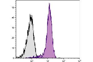 BALB/c mouse splenocytes were stained with Rat Anti-Mouse CD31-APC. (CD31 Antikörper  (APC))