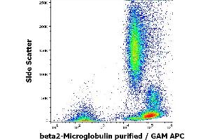 Flow cytometry surface staining pattern of human peripheral blood stained using anti-human beta2-Microglobulin (B2M-01) purified antibody (concentration in sample 0.