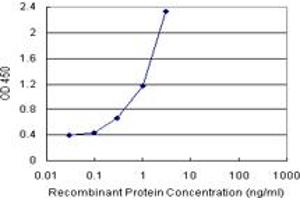 TNFRSF17 (Human) Matched Antibody Pair