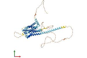 Protein Structure (PS) image for G Protein-Coupled Receptor 101 (GPR101) (AA 1-511) protein (His tag) (ABIN7558314)