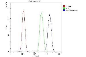 Flow Cytometry analysis of U87 cells using anti-HnRNPF antibody (ABIN4886622). (HNRNPF Antikörper  (N-Term))