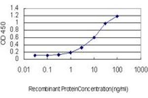 Detection limit for recombinant GST tagged RBP4 is approximately 1ng/ml as a capture antibody. (RBP4 Antikörper  (AA 19-201))