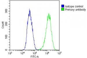 Overlay histogram showing PC-3 cells stained with (ABIN1539403 and ABIN2849618)(green line).