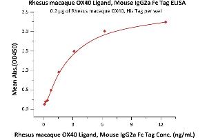 ELISA image for Tumor Necrosis Factor (Ligand) Superfamily, Member 4 (TNFSF4) (AA 51-183) (Active) protein (Fc Tag) (ABIN6253638)