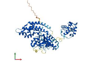 AlphaFold protein structure predicition of Human Recombinant EHD1 Protein, UniprotID Q9H4M9 (EHD1 Protein (AA 1-534) (His tag))