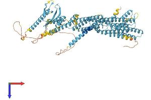 EXOC8 Protein (AA 1-716) (His tag)