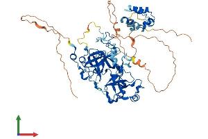 Protein Structure (PS) image for L(3)mbt-Like 4 (L3MBTL4) (AA 1-621) protein (His tag) (ABIN7562043)