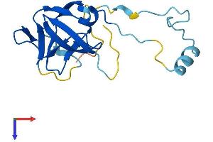 Endogenous Retrovirus Group K, Member 24 (ERVK-24) (AA 1-156) protein (His tag)