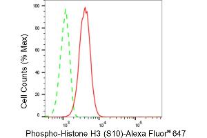 Flow cytometric analysis of Phospho-Histone H3 (S10) expression in C2C12 cells using Phospho-Histone H3 (S10) antibody (ABIN7798975), 1:2,000). (Rekombinanter Histone 3 Antikörper  (H3S10ph))
