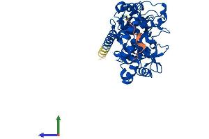 Protein Structure (PS) image for Protein Geranylgeranyltransferase Type I, beta Subunit (PGGT1B) (AA 1-377) protein (His tag) (ABIN7550749)
