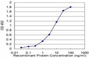 Detection limit for recombinant GST tagged NVL is approximately 0. (NVL Antikörper  (AA 757-856))