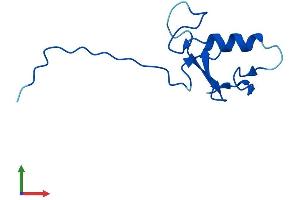 Protein Structure (PS) image for Anaphase Promoting Complex Subunit 11 (ANAPC11) (AA 1-84) protein (Fc Tag) (ABIN7552099)