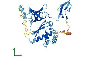Protein Structure (PS) image for Exosome Component 2 (EXOSC2) (AA 1-293) protein (His tag) (ABIN7553877)