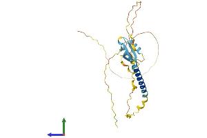 Protein Structure (PS) image for H1 Histone Family, Member N, Testis-Specific (H1FNT) (AA 1-255) protein (His tag) (ABIN7548196)