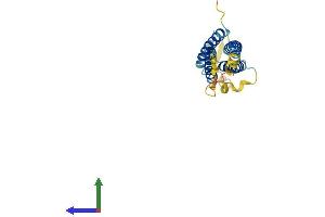 AlphaFold protein structure predicition of Mouse Recombinant Nkain1 Protein, UniprotID Q9D035