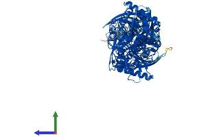 Protein Structure (PS) image for Hexokinase Domain Containing 1 (HKDC1) (AA 1-915) protein (His tag) (ABIN7560020)