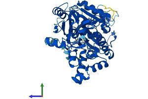 Protein Structure (PS) image for NOP2/Sun Domain Family, Member 6 (NSUN6) (AA 1-469) protein (His tag) (ABIN7549850)