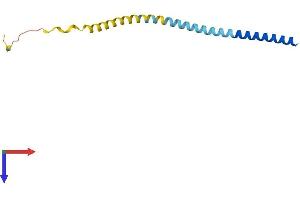 Protein Structure (PS) image for Vesicle-Associated Membrane Protein 1 (Synaptobrevin 1) (VAMP1) (AA 1-118) protein (His tag) (ABIN7545079)