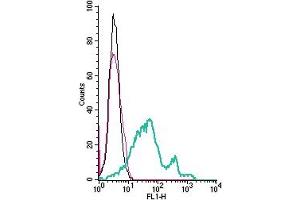 Cell surface detection of GPR108 by indirect flow cytometry in live intact mouse  microglia cell line: + goat-anti-rabbit-FITC. (GPR108 Antikörper  (Extracellular))