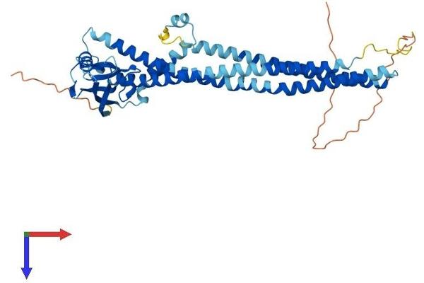 PICK1 Protein (AA 1-416) (His tag)