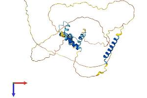 Caspase Activity and Apoptosis Inhibitor 1 (CAAP1) (AA 1-361) protein (His tag)
