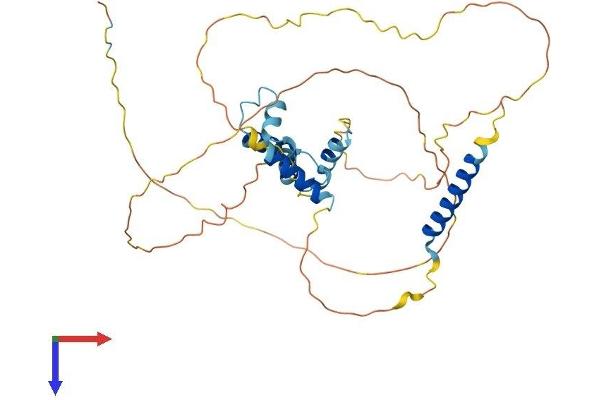 Caspase Activity and Apoptosis Inhibitor 1 (CAAP1) (AA 1-361) protein (His tag)