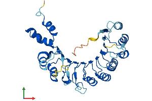 Protein Structure (PS) image for F-Box and Leucine-Rich Repeat Protein 12 (FBXL12) (AA 1-326) protein (His tag) (ABIN7547854)