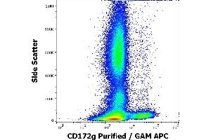 Flow cytometry surface staining pattern of human peripheral whole blood stained using anti-human CD172g (OX-119) purified antibody (concentration in sample 1,7 μg/mL, GAM APC). (SIRPG Antikörper)