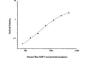 RACGAP1 ELISA Kit