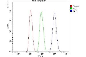 Flow Cytometry analysis of HepG2 cells using anti-TET1 antibody (ABIN7600442). (TET1 Antikörper  (AA 194-417))
